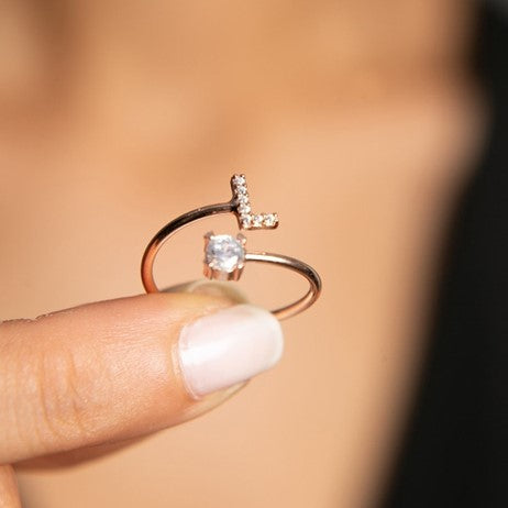 Fien Initial Rings